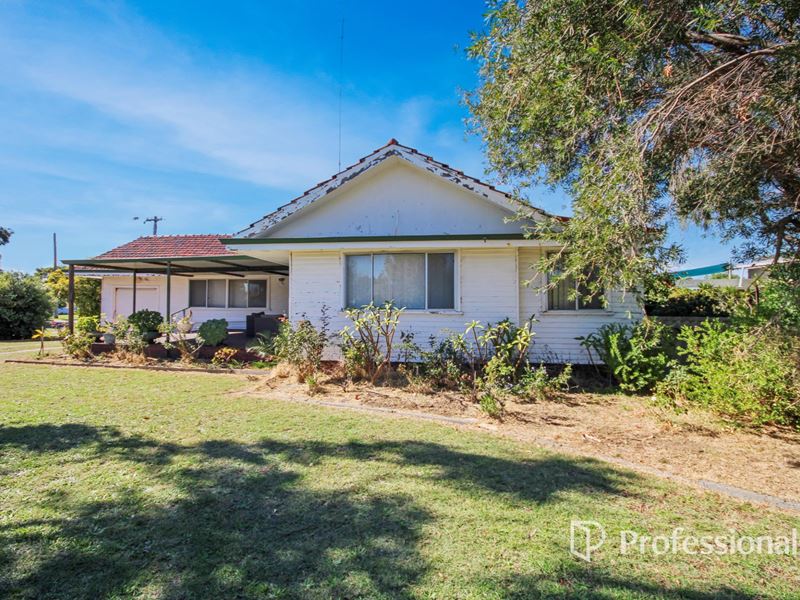 81 Hayes Street, East Bunbury WA 6230