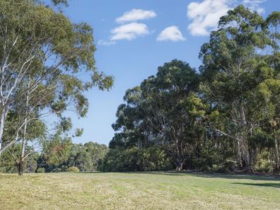 Lot PL3, 93 Biddle Road, Quedjinup WA 6281