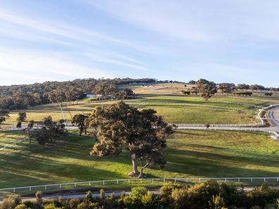 11 Snowball Close, Kalgan WA 6330