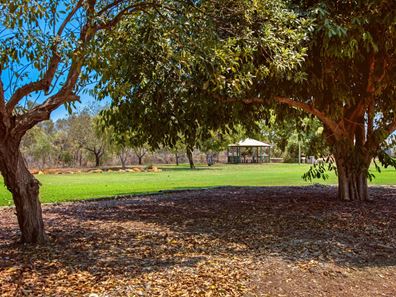 20 Bluegrass Road, Djugun WA 6725