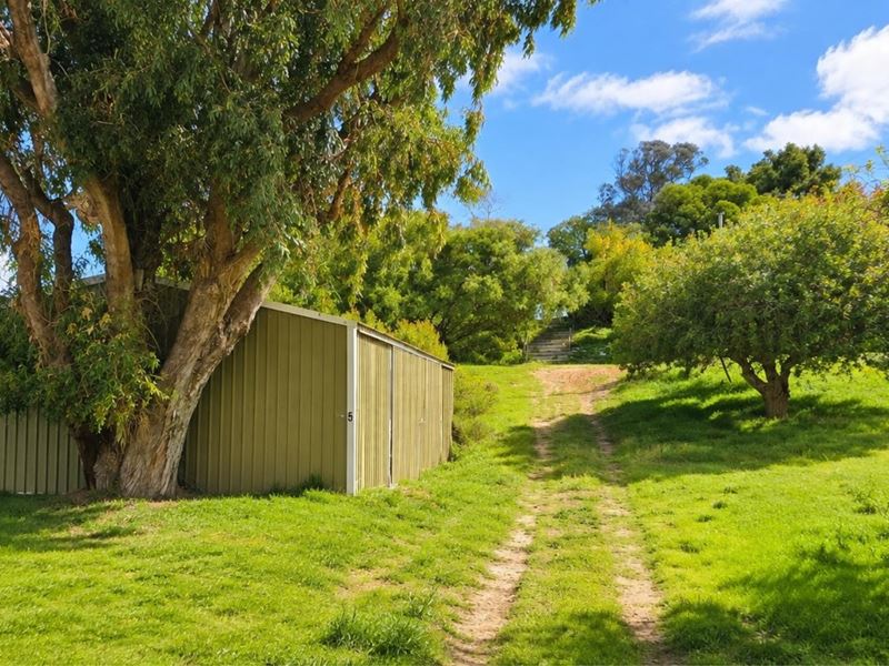 5 Jones Street, Ledge Point WA 6043