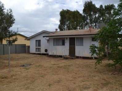 8 Livingstone Street, Perenjori WA 6620