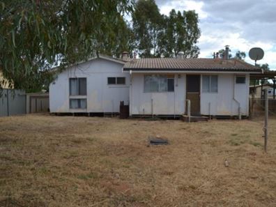 8 Livingstone Street, Perenjori WA 6620