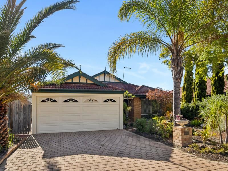 24 Daintree Loop, Ellenbrook WA 6069