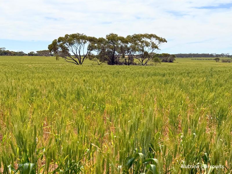 "Empire Aggregation" Clark Road, Wialki WA 6473