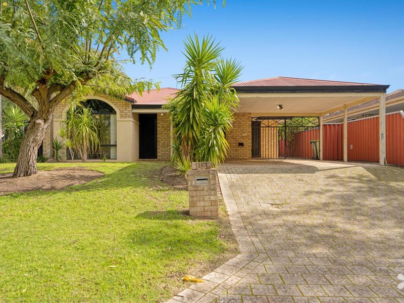 16 Senecio Lane, Beeliar WA 6164