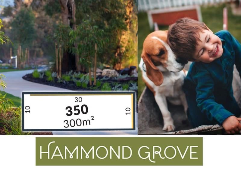 Lot 350,  Jennings Street, Hammond Park WA 6164