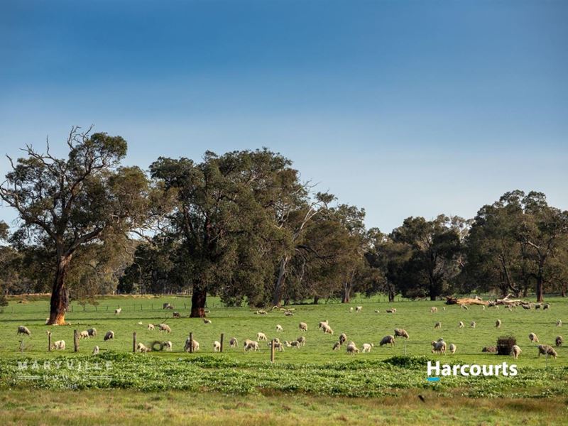Lot 728 Jersey Road, Lower Chittering