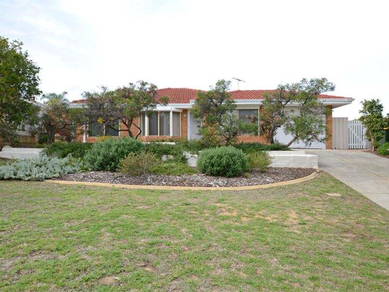 4 Haskell Gardens, Clarkson WA 6030
