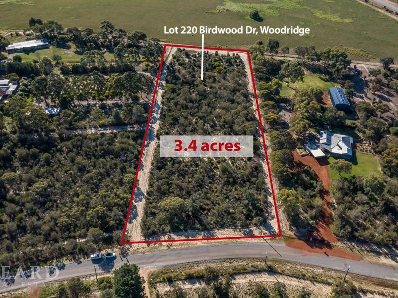 Birdwood Drive, Woodridge