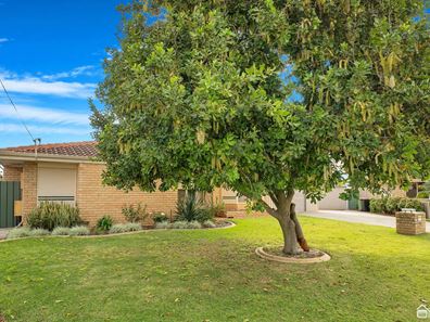 34 Sutcliffe Close, Seville Grove WA 6112