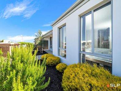 4 Hybrid Green, Banksia Grove WA 6031