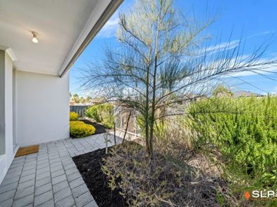 4 Hybrid Green, Banksia Grove WA 6031