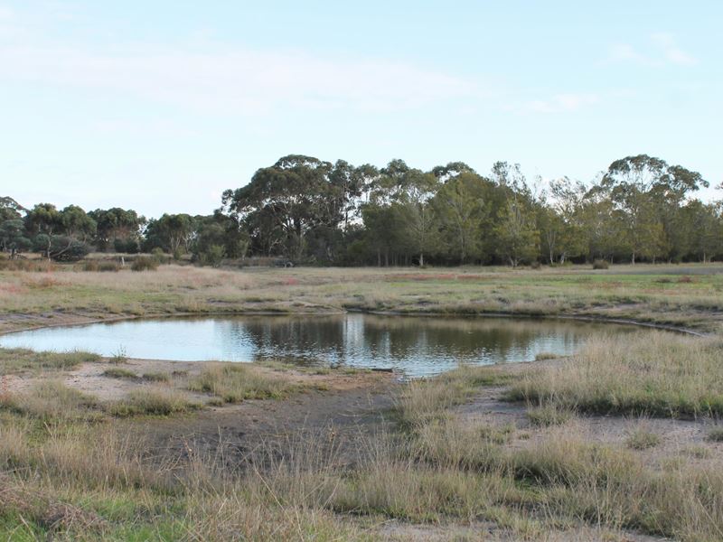 Lot 260,  Ingoldby Street, Mount Barker