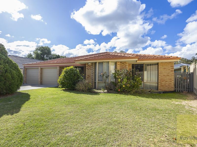 55 Mint Circuit, Banksia Grove WA 6031