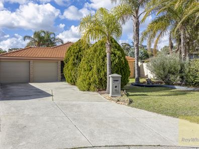 55 Mint Circuit, Banksia Grove WA 6031