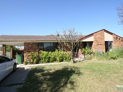 3 Dodd Place, Warnbro WA 6169