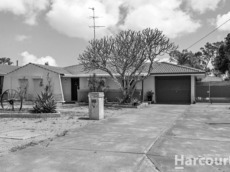 59 Coolibah Avenue, Dudley Park