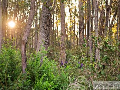 PL 15, 69 Brockman Road, The Hideaway, Cowaramup WA 6284