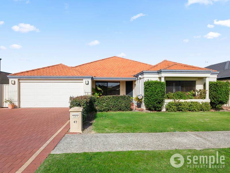 47 Jackadder Avenue, Hammond Park
