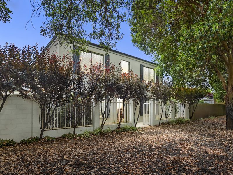 173 Central Avenue, Mount Lawley