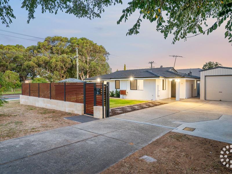 41 Erpingham Road, Hamilton Hill