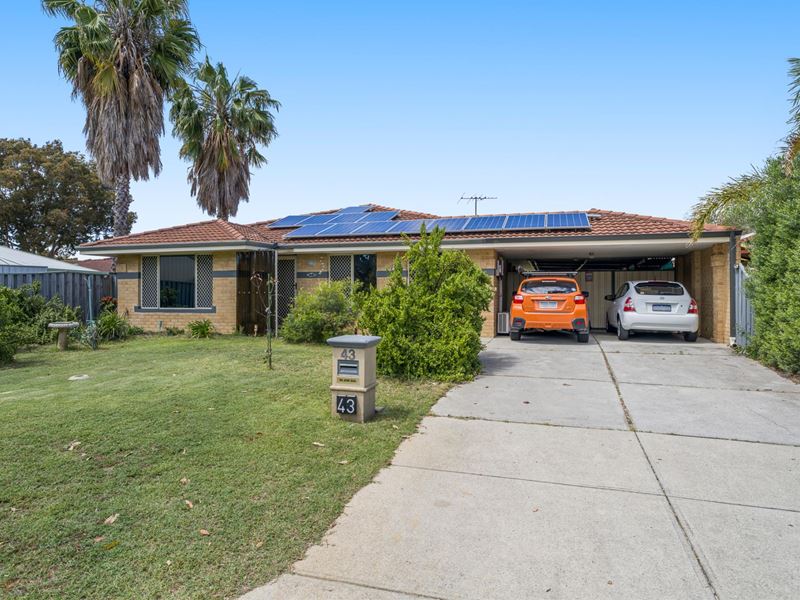 43 Waterlily Drive, Stratton WA 6056