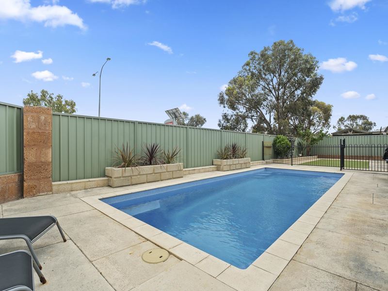 1 Blaxland Terrace, Baldivis WA 6171