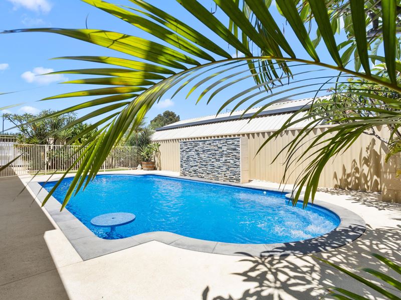 50 Concord Terrace, Atwell WA 6164