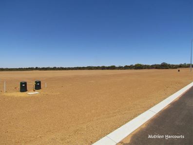 . Lot 821 to Lot 842 York Street, Dalwallinu WA 6609