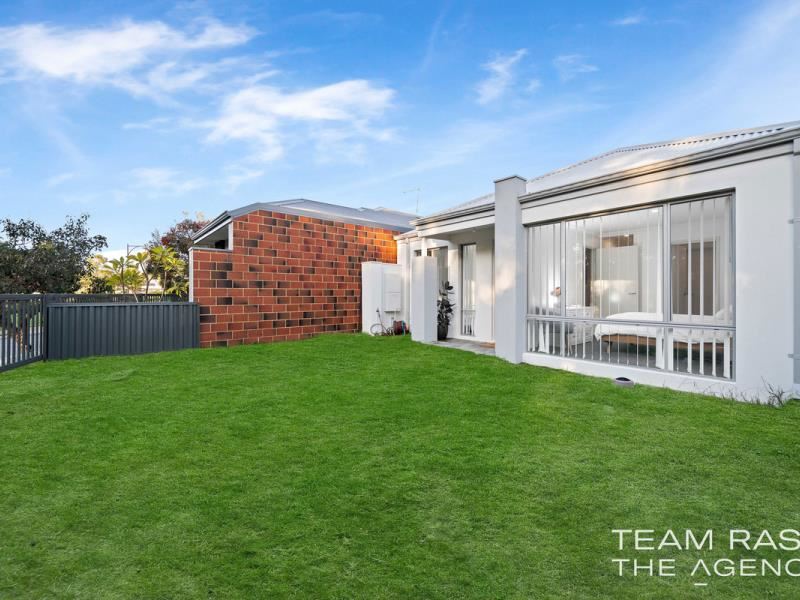 3/3 Darling Chase, Wandi