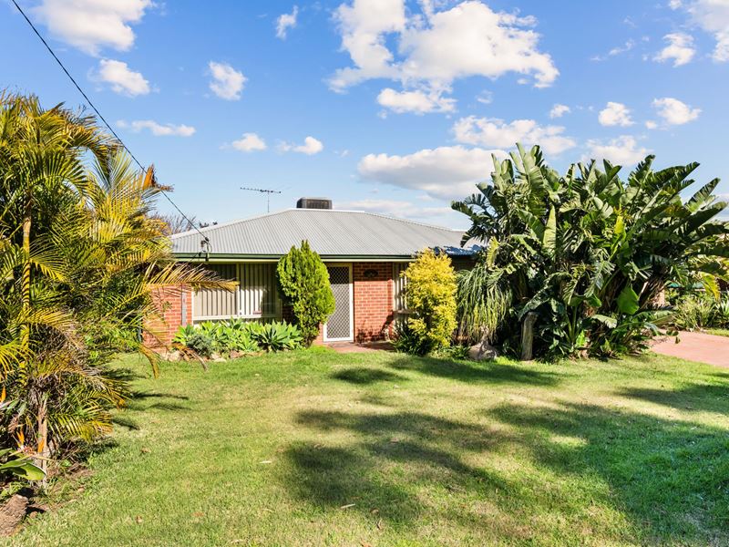 44 Berkshire Road, Forrestfield