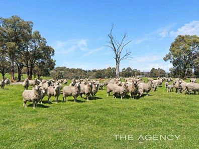 3275 Toodyay Road, Gidgegannup WA 6083