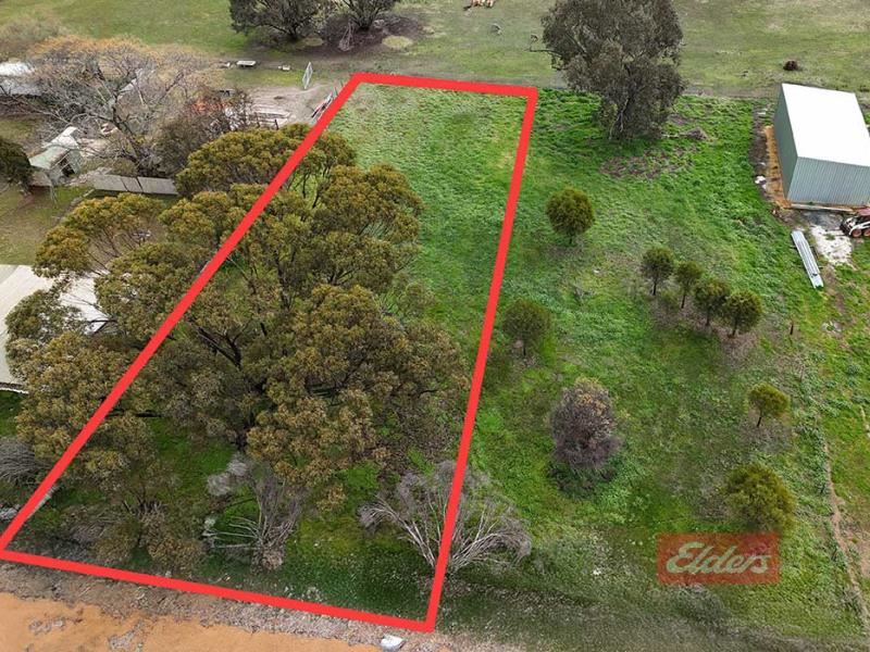41 Richmond Street, Williams