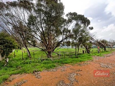 41 Richmond Street, Williams WA 6391