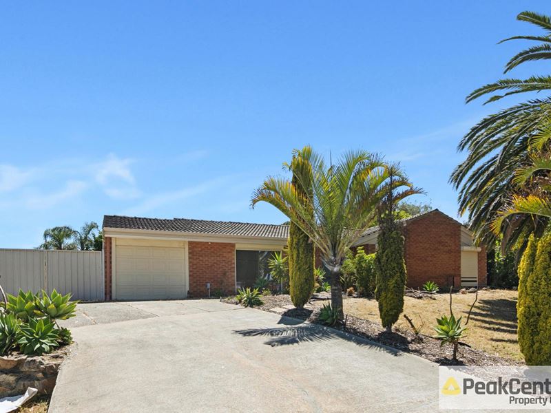 1 Robertson Place, Bibra Lake WA 6163