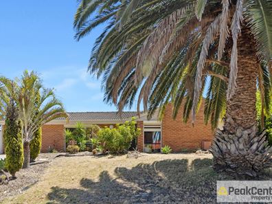 1 Robertson Place, Bibra Lake WA 6163