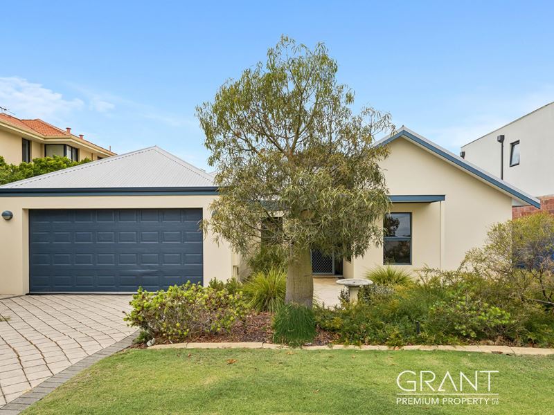 43 Mount View Terrace, Mount Pleasant