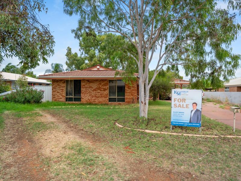 6 Jarvis Place, Hannans WA 6430