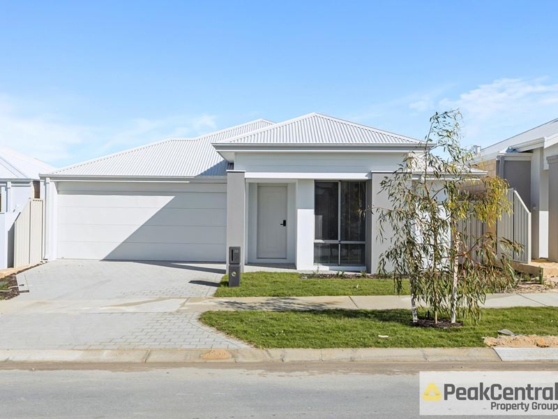 55 Cashmere Chase, Alkimos WA 6038