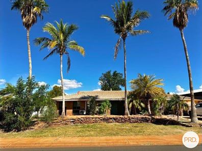 22 Gawthorne Drive, Millars Well WA 6714