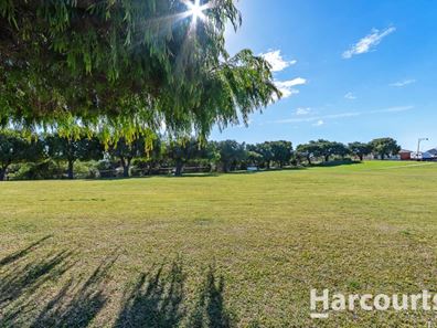 25 Thurleigh Approach, Butler WA 6036