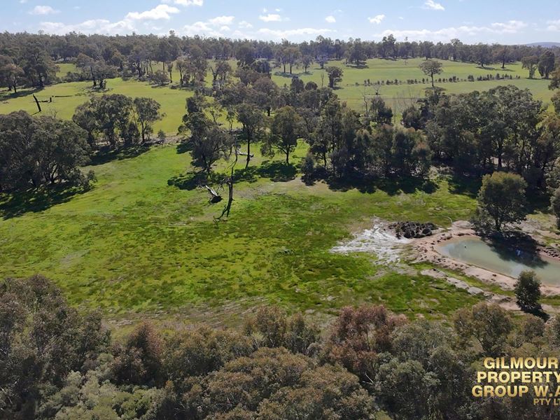 311 Mayo Road, Gidgegannup WA 6083