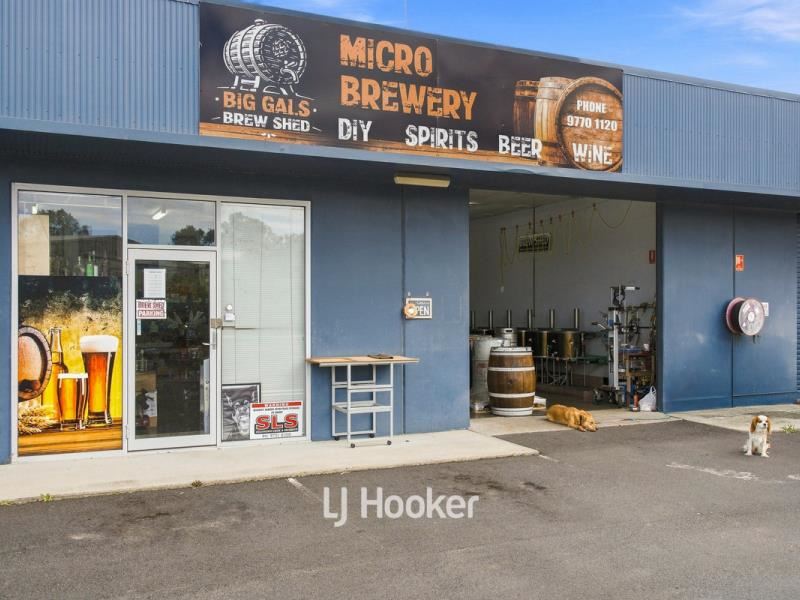 Food/Hospitality - Big Gal’s Brew Shed | Turn Your Passion for Brewing into a Business