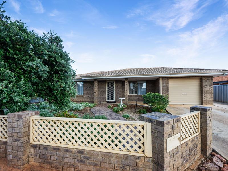 11 Harrison Street, Bluff Point