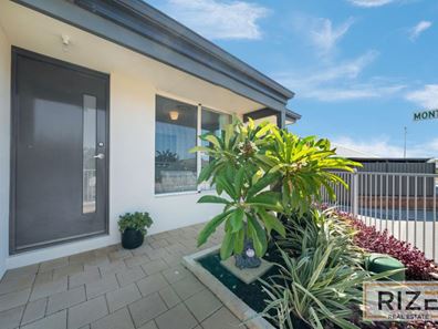 49 Azolla Street, Banksia Grove WA 6031