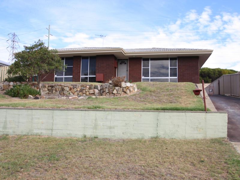 21 Claygate Road, Hamilton Hill WA 6163