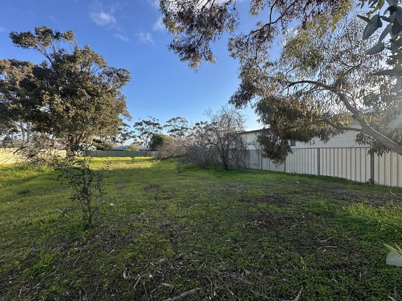 10 Andover Street, Katanning WA 6317