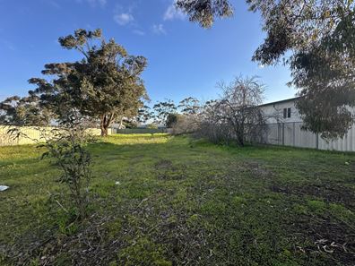 10 Andover Street, Katanning WA 6317