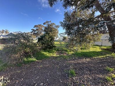 10 Andover Street, Katanning WA 6317